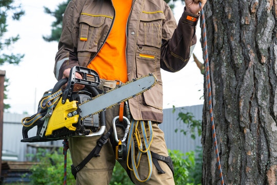 Arborist in orange uniform standing by a large tree holding a professional chainsaw. tree care concept, industrial climbing, forestry safety.