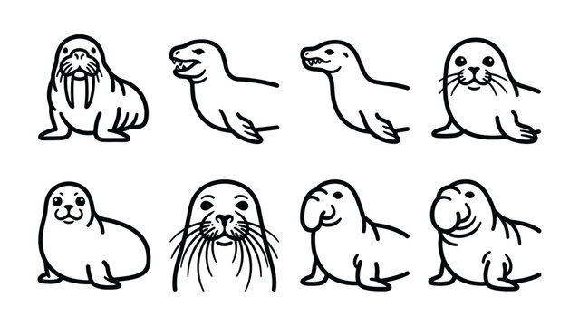 Seal and Walrus Collection: A charming collection of stylized seals and a walrus, depicted in simple black and white line art, showcasing various poses and expressions.
