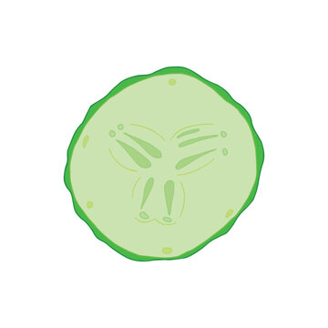 Vector hand drawn illustration of cucumber slice isolated on white background