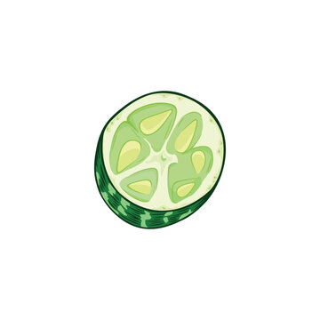 Vector illustration of a half cutted mouse melon isolated on white background