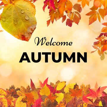 Orange Yellow Minimalist Autumn Instagram Post - 1