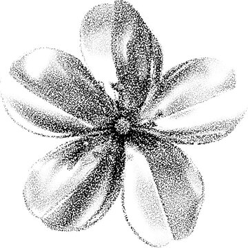 Halftone stipple flower with retro grunge style in transparent dotted design