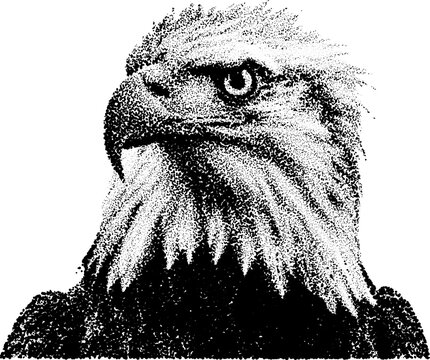 Retro grunge eagle portrait in halftone style with stipple and dotted transparent design