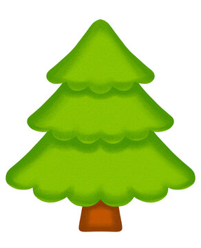 spruce hand drawn pastel illustration