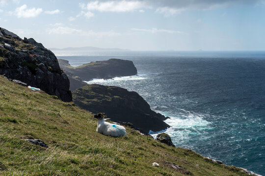 Steilk&uuml;ste am Bolus Head im County Kerry in Irland