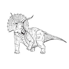 Vector illustration of black line hand drawn triceratops isolated on white background © Juli_Step
