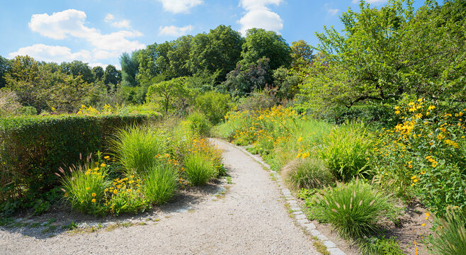 walkway beautiful park landscape Westpark munich. green green grasses, yellow healianthus