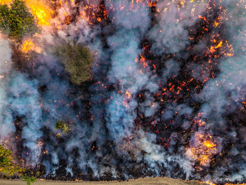 Aerial view of a bushfire burning through vegetation with intense flames and thick smoke rising from the forest floor in Home Hill, Queensland, Australia.