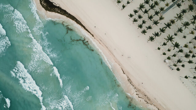 Aerial view of Playa del Carmen beach with turquoise water, white sand, and rows of palm trees in Playa del Carmen, Quintana Roo, Mexico.