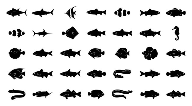 Flat vector illustration of a collection of various fish sil set with simple line art design featuring simple design, minimalist, black and white with illustrations and graphics