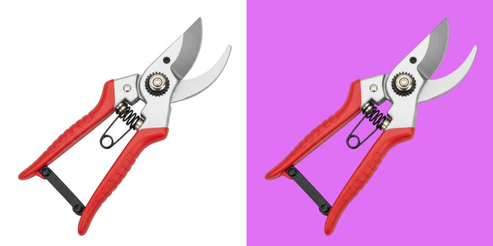 Red garden pruners and purple background