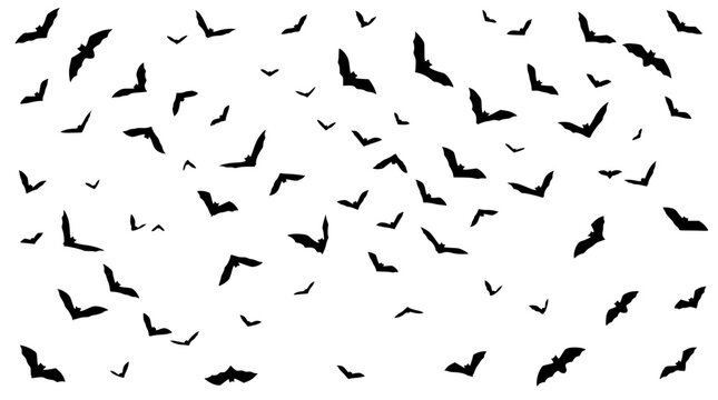 Minimalist vector illustration of a flock of black bat sil set with simple line art design featuring line art, illustrations, graphic resources with vector and design elements