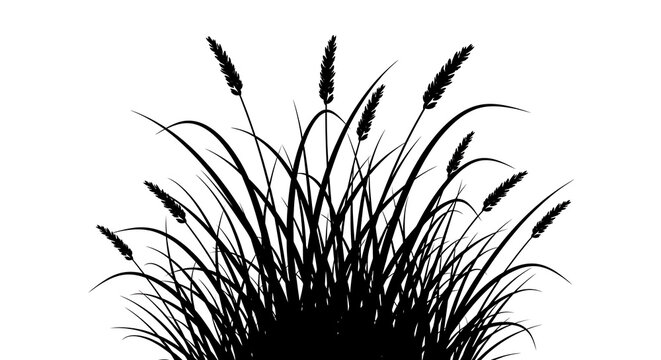 Black and white ink drawing of a bunch of wild grass