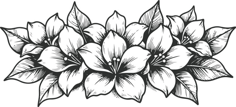 Elegant floral border with blooming lilies and detailed leaves in black and white vintage design