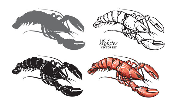 Stylized lobsters vector set in different styles. Silhouette, line art contour and colorful graphic elements isolated on white background.