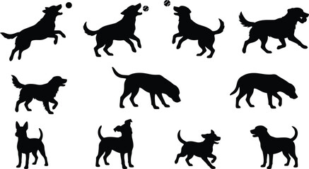 Obraz premium Collection of playing and running black dog silhouettes in different poses on white background
