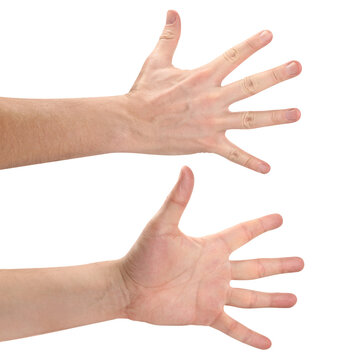 Set of open male hands with spread fingers from front and back, isolated on transparent cutout background