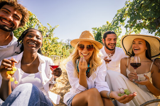 Friends enjoying wine and conversation together among vineyard grapes