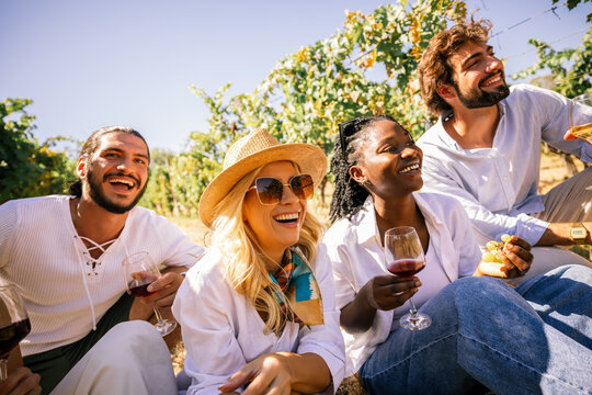 Cheerful friends drinking wine and enjoying a sunny vineyard gathering