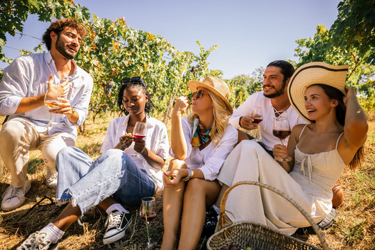 Friends enjoying wine together during a sunny vineyard gathering