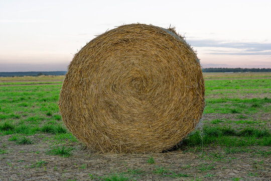 Round hay bale in a green field at dusk