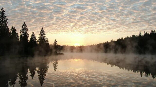 Serene sunrise over misty lake with pine forest reflection and golden morning light