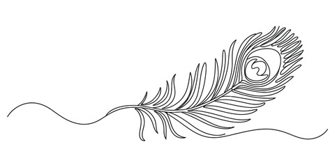 A single continuous line art drawing of a beautiful peacock feather isolated on a simple plain surface for creative design projects and art prints © ARICK 