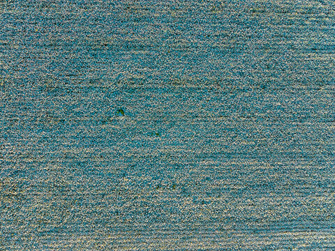Aerial view of agricultural plantations in the mountainous countryside of Constanza, La Vega Province, Dominican Republic.