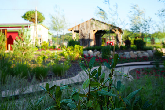 Fun park country theme garden, outdoor view with plants