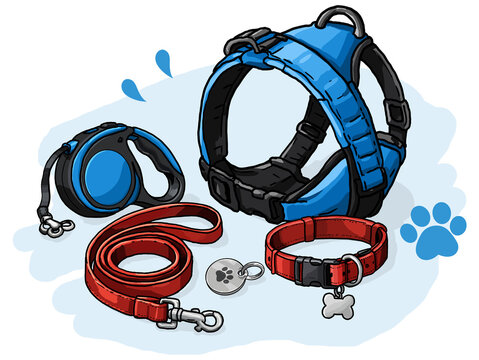 Accesorios para pasear perros y mascotas