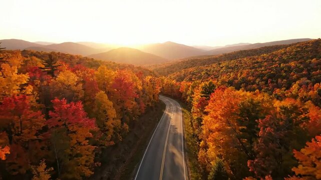 Aerial view of scenic mountain road through vibrant autumn forest at sunset fall foliage