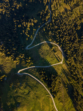 Aerial view of a winding road through the dense pine forests and alpine meadows near the Niederhorn mountain peak at sunset in Sigriswil, Canton of Bern, Switzerland.