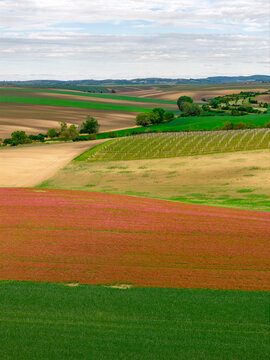Aerial view of rolling agricultural fields with vibrant red clover, green crops, and vineyard rows under a cloudy sky in Cejkovice, South Moravian Region, Czechia.