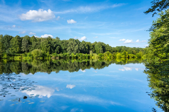 Hamburg, Germany. The nature reserve Volksdorfer Teichwiesen.
