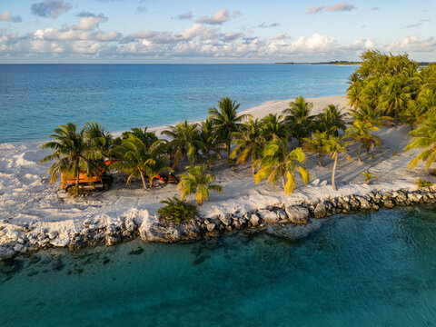 Aerial view of Tikehau atoll featuring lush palm trees, white sand beach, and turquoise lagoon waters with an excavator parked on the shore in The Tuamotu and Gambi, French Polynesia.