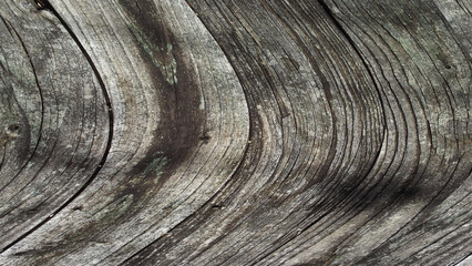 Obraz premium Close up of rustic weathered wood texture with natural curved grain rings