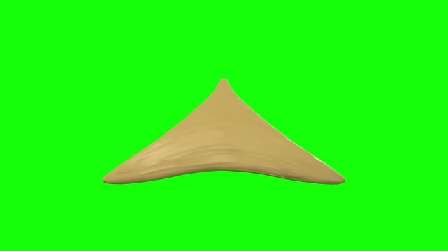 Commissure of Fornix of Forebrain Rotation Green Screen CC BY