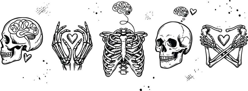 Anatomy skeleton vector illustration set featuring skulls hearts ribcages and brains drawn in a unique black and white style