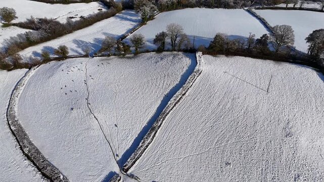 Top Down Snowy Fields and Stream