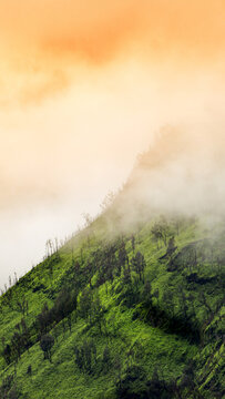 Aerial view of Mount Bromo landscape with lush green slopes, sparse trees, and thick morning mist under a soft golden sky in Tosari, East Java, Indonesia.
