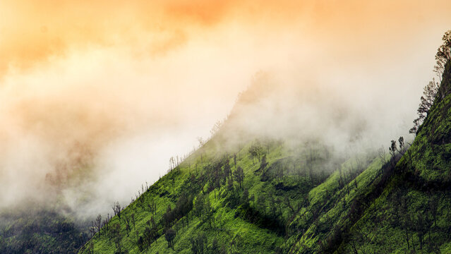 Aerial view of the lush green slopes of Mount Bromo shrouded in mist during golden hour in Tosari, East Java, Indonesia.