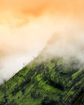 Aerial view of Mount Bromo with lush green slopes, sparse trees, and thick mist under a warm golden sky in Tosari, East Java, Indonesia.
