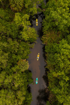 Aerial view of three colorful kayaks paddling down a narrow, dark-water river surrounded by dense lush green trees and vegetation in Sebastian, Florida, United States.