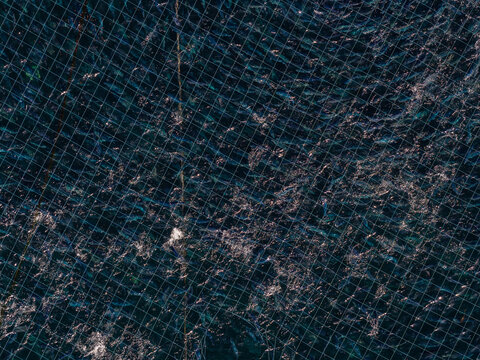 Aerial view of fish farm Salomon with circular net pens in the deep blue water of the fjord in Liabygda, More og Romsdal, Norway.