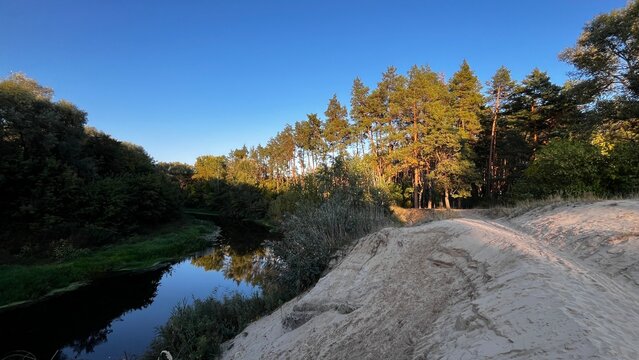 river near a pine forest