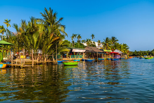 A view of traditional basket boats moored on the waterways of the Bay Mau Coconut Forest in Cam Thanh village near Hoi An, Vietnam on a bright sunny day