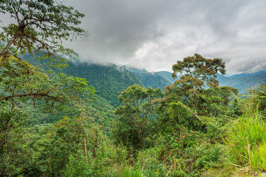 A panoramic view of lush, mist-covered mountain ranges and tropical cloud forest near Bella Vista in Ecuador.