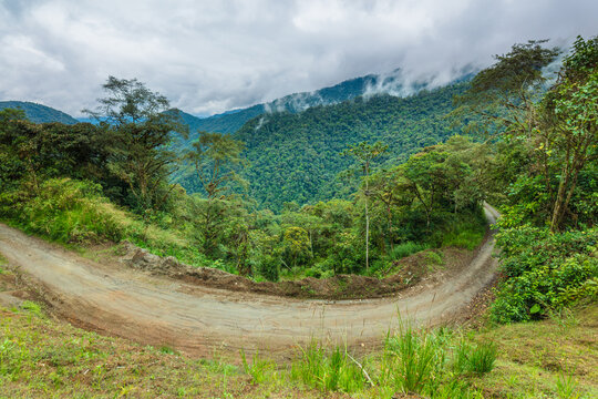 A panoramic view of lush, mist-covered mountain ranges and tropical cloud forest near Bella Vista in Ecuador.