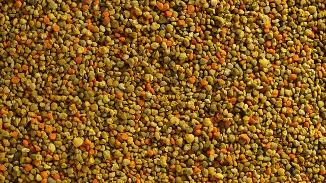 A full-frame top view of multi-colored yellow and orange organic bee pollen granules, highlighting natural health food texture, rotates