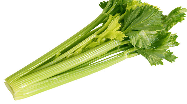 Isolated fresh organic green celery bunch, healthy crisp vegetable for cooking and healthy diet